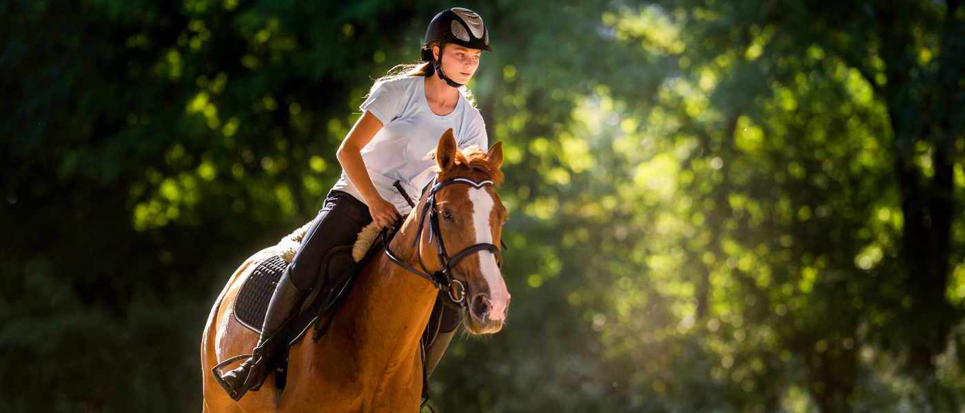 Osteopathie für Pferd und Reiter
